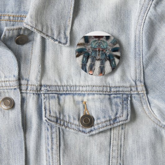 Blauer Tarantel Button (Beispiel)