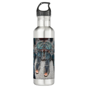 Blauer Tarantel Edelstahlflasche