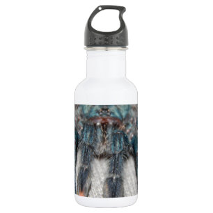 Blauer Tarantel Edelstahlflasche