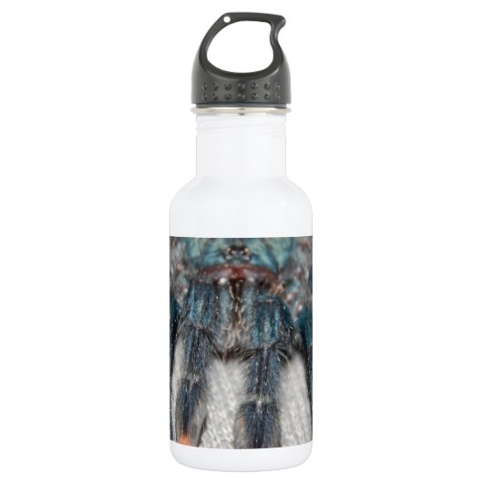 Blauer Tarantel Edelstahlflasche (Vorderseite)