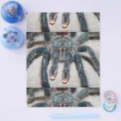 Blauer Tarantel Flyer (Einzeln)