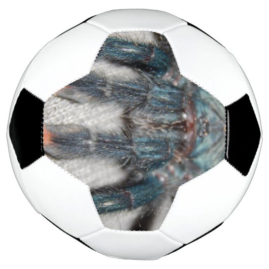Blauer Tarantel Fußball (Gedreht)