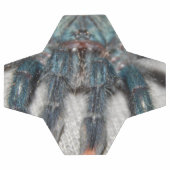 Blauer Tarantel Fußball (Flach)