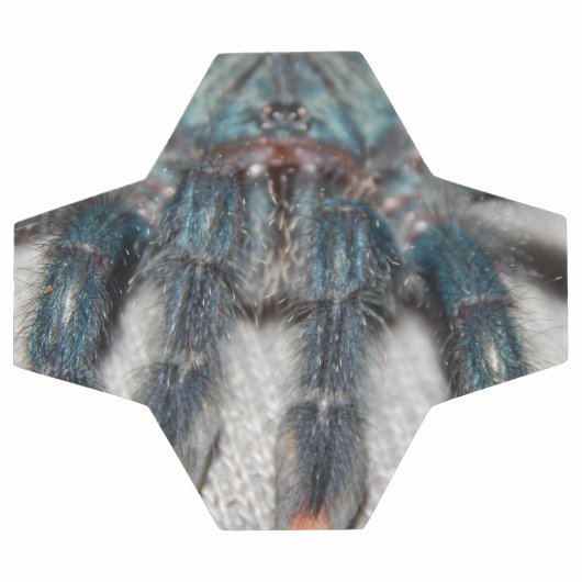 Blauer Tarantel Fußball (Flach)