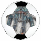Blauer Tarantel Fußball (Vorderseite)