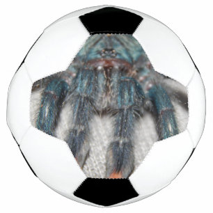Blauer Tarantel Fußball