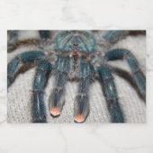 Blauer Tarantel Lebensmitteletikett (Einzelnes Label)