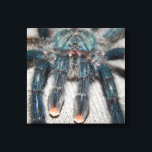 Blauer Tarantel Leinwanddruck<br><div class="desc">Spinne in der Mitte</div>