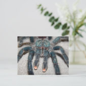 Blauer Tarantel Postkarte (Stehend Vorderseite)