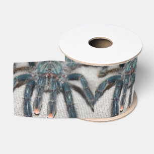 Blauer Tarantel Ripsband