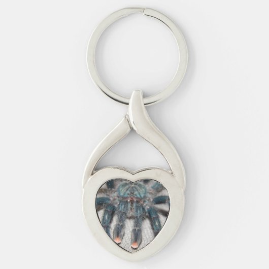 Blauer Tarantel Schlüsselanhänger (Vorderseite)