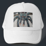 Blauer Tarantel Truckerkappe<br><div class="desc">Spinne in der Mitte</div>