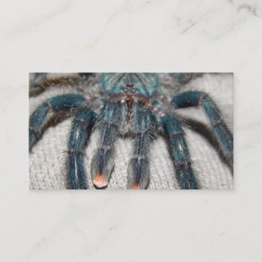 Blauer Tarantel Visitenkarte (Vorderseite)