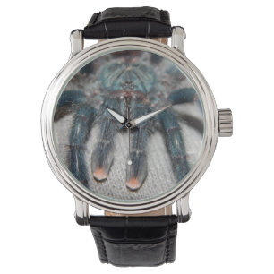 blauer Tarantula Armbanduhr