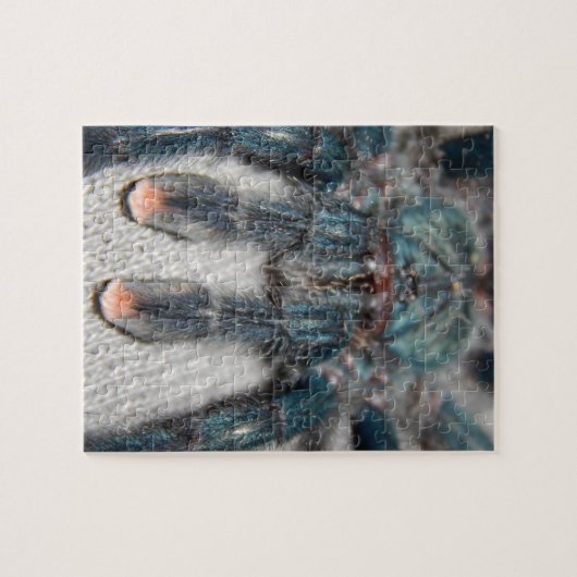 blauer Tarantula Puzzle (Horizontal)