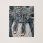 blauer Tarantula Puzzle<br><div class="desc">blaues spidery</div>