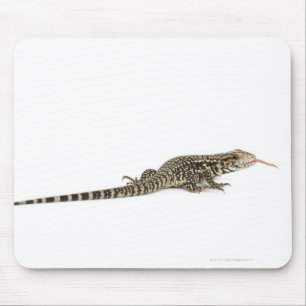 Blauer Tegu - Tupinambis merianae Mousepad
