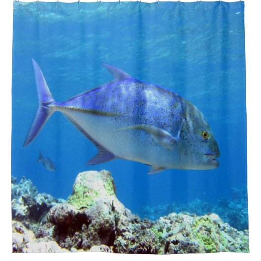 Blauer Thunfisch Duschvorhang (Vorderseite)