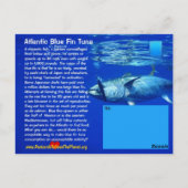 Blauer Thunfisch, überfischt, bedroht, fast versch Postkarte (Rückseite)