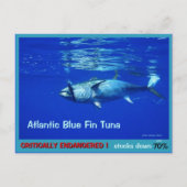 Blauer Thunfisch, überfischt, bedroht, fast versch Postkarte (Vorderseite)
