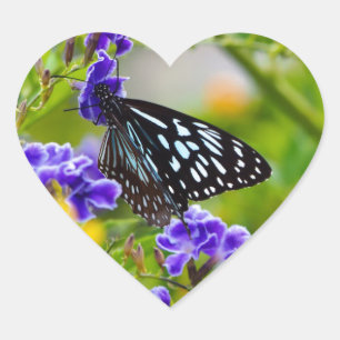 Blauer Tigerschmetterling Herz-Aufkleber