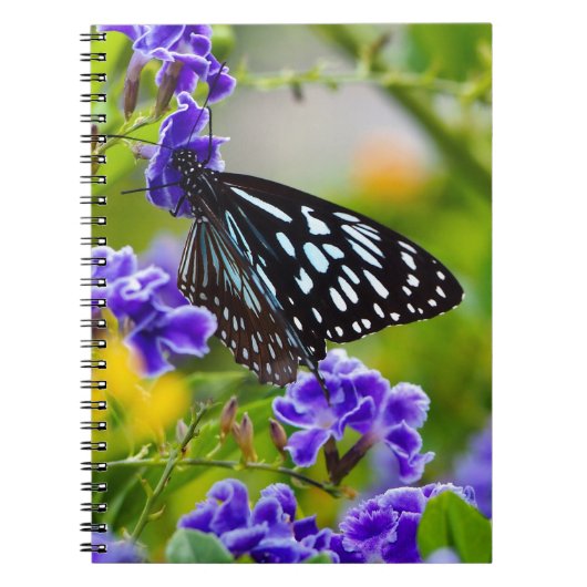 Blauer Tigerschmetterling Notizblock (Vorderseite)