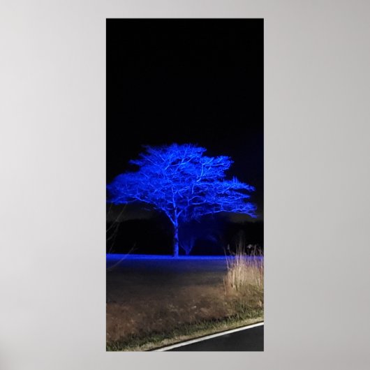 Blauer Tinted Tree Poster (Vorne)