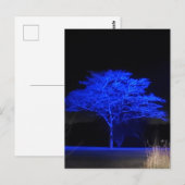 Blauer Tinted Tree Postkarte (Vorne/Hinten)