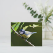 Blauer Ton im Herbst Postkarte (Stehend Vorderseite)
