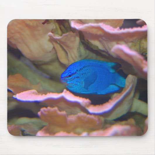 Blauer tropischer Fisch Mousepad (Vorne)
