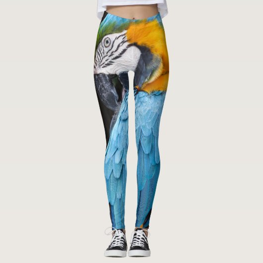 Blauer und gelber putzender Macaw Leggings (Vorderseite)