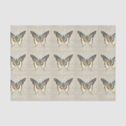 Blauer und gelber Vintager Art-Schmetterling Seidenpapier (Vorderseite)