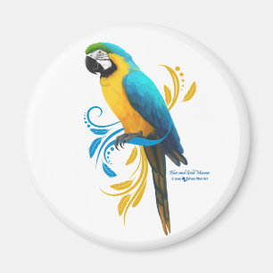 Blauer und Goldmagnet Magnet