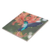 Blauer und grüner Hummingvogel und Orange-Hibiskus Fliese (Seite)