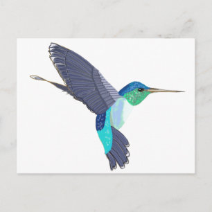 Blauer und grüner Kolibri Postkarte