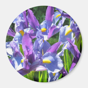 Blauer und lila Iris-Magnet Magnet
