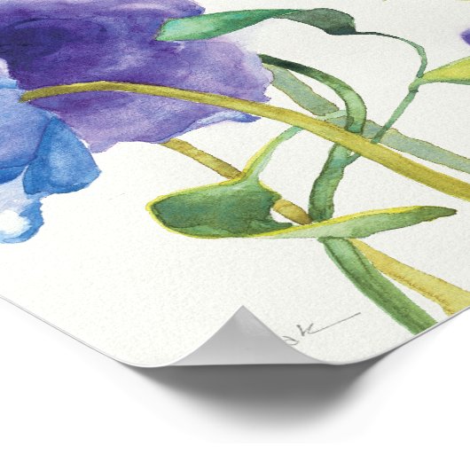 Blauer und Lila Mischgarten Poster (Ecke)