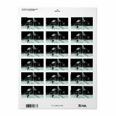 Blauer und schwarzer Flora Hochzeitsplatz Adressaufkleber (Vorne)