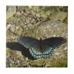 Blauer und schwarzer Schmetterling Fliese
