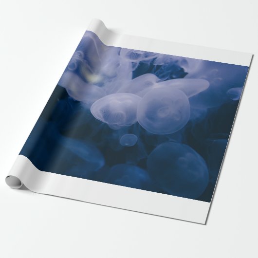 BLAUER UND WEISS GESCHENKPAPIER (Ungerollt)