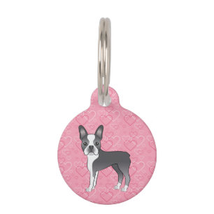 Blauer und weißer Boston Terrier Hund auf rosa Her Haustiermarke
