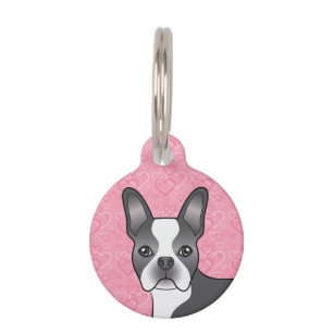 Blauer und weißer Boston Terrier Kopf auf rosa Her Haustiermarke