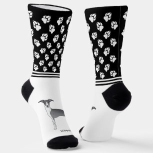 Blauer und weißer Italienischer Windhund mit Namen Socken