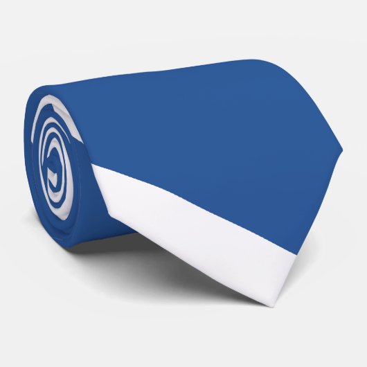 Blauer und weißer Luft-Falke Diagonal-Gestreift Krawatte (Gerollt)