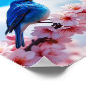 Blauer Vogel auf Kirschblütenzweig Poster (Ecke)