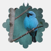 Blauer Vogel auf Zweig-Mixed-Medien Ornament Karte (Rückseite)