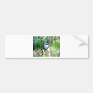 Blauer Vogel Autoaufkleber