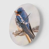 Blauer Vogel, Barnschlucht, kanadische Fotografie Große Wanduhr (Winkel)