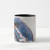 Blauer Vogel, Barschschlucken Tasse (Zentrum)