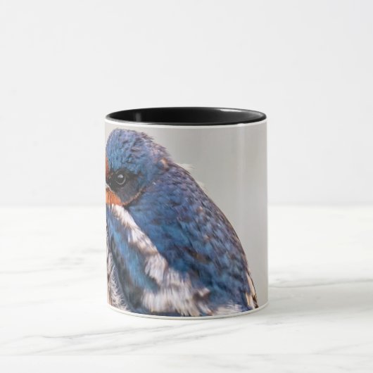Blauer Vogel, Barschschlucken Tasse (Zentrum)